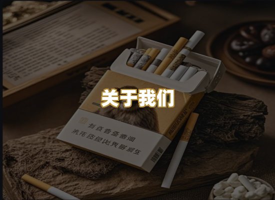 关于我们